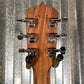 Deering B-6 AE Boston 6 String Acoustic Electric Banjo & Case #56807