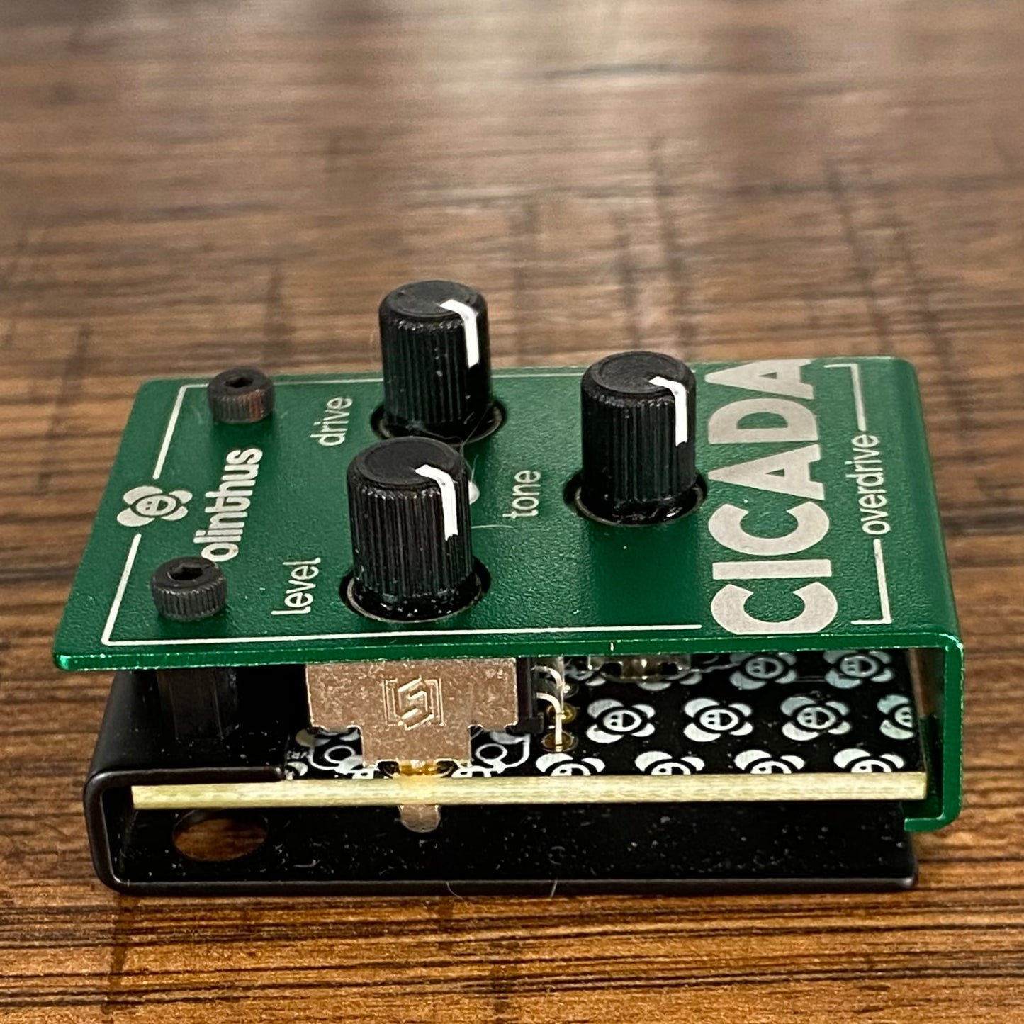 Olinthus Cicada Overdrive World's Smallest Guitar Effect Pedal Used