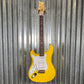 PRS Paul Reed Smith SE Silver Sky Dandy Lion Rosewood Left Hand Guitar & Bag #8305