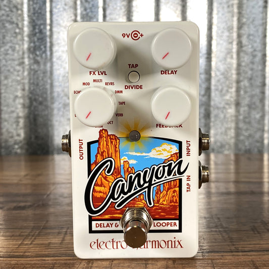 Electro-Harmonix EHX Canyon Delay & Looper Guitar Effect Pedal & AC Adapter Demo