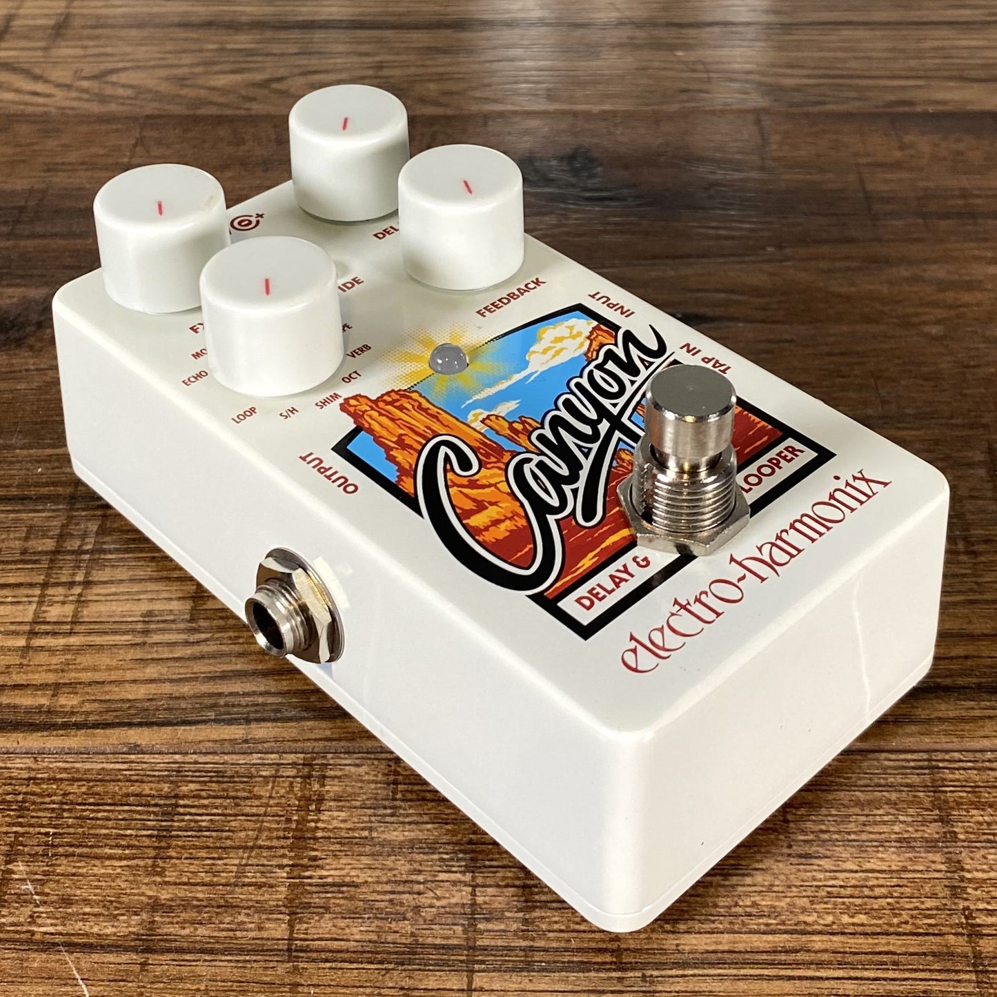 Electro-Harmonix EHX Canyon Delay & Looper Guitar Effect Pedal & AC Adapter Demo