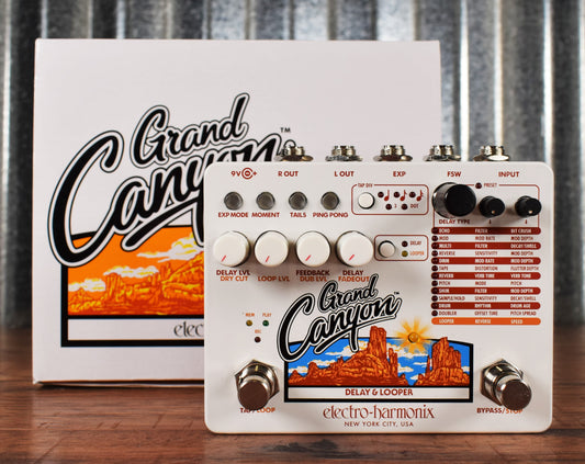 Electro-Harmonix EHX Grand Canyon Delay & Looper Guitar Effect Pedal Demo