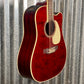Takamine JJ325SRC-12 John Jorgenson 12 String Acoustic Electric Guitar & Case Japan Used