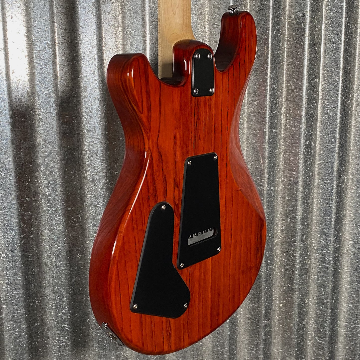 PRS Paul Reed Smith SE Swamp Ash Special Vintage Sunburst Guitar & Bag #1458 Used