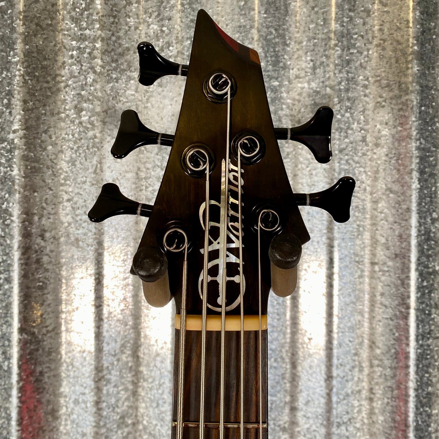 Warrior DM5 Dran Michael 5 String Natural Spalted Bass & Case #177 Used