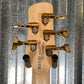 Spector Icon NS-5 Bolt-On Black Gloss 5 String Bass #0096