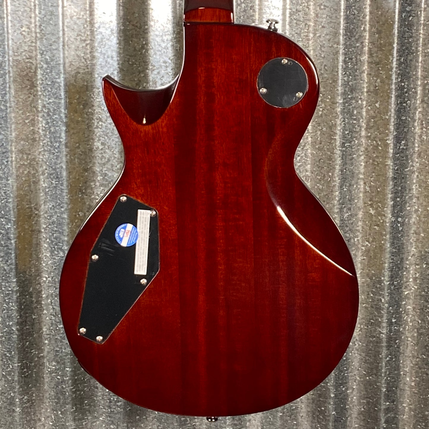 ESP LTD EC-256 Vintage Natural Guitar LEC256VN #3590 Used