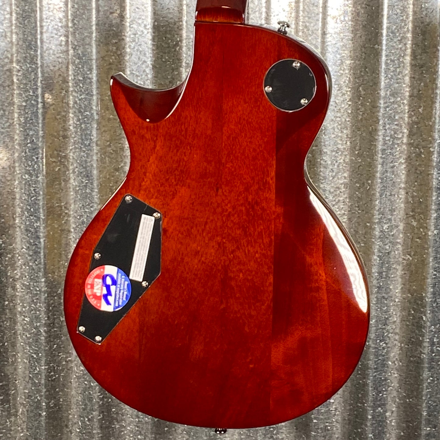 ESP LTD EC-256 Vintage Natural Guitar LEC256VN #1895 Used