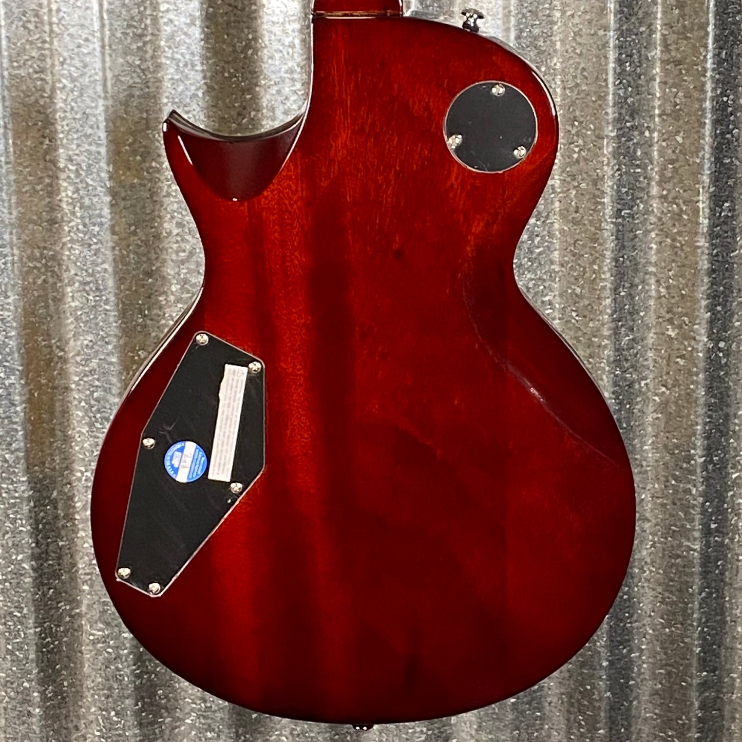 ESP LTD EC-256 Vintage Natural Guitar LEC256VN #1969 Used