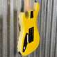 ESP LTD GL-200MT George Lynch Yellow Tiger Stripe Graphic Guitar LGL200MT #1406 Used