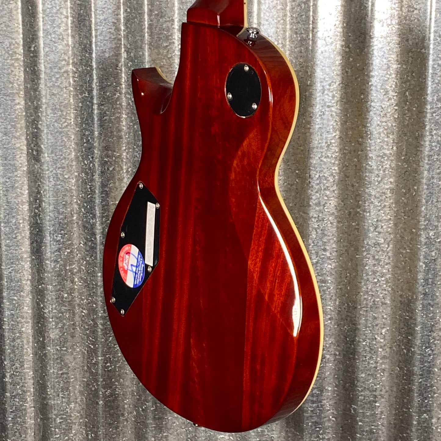 ESP LTD EC-256 Vintage Natural Guitar LEC256VN #1083 Used