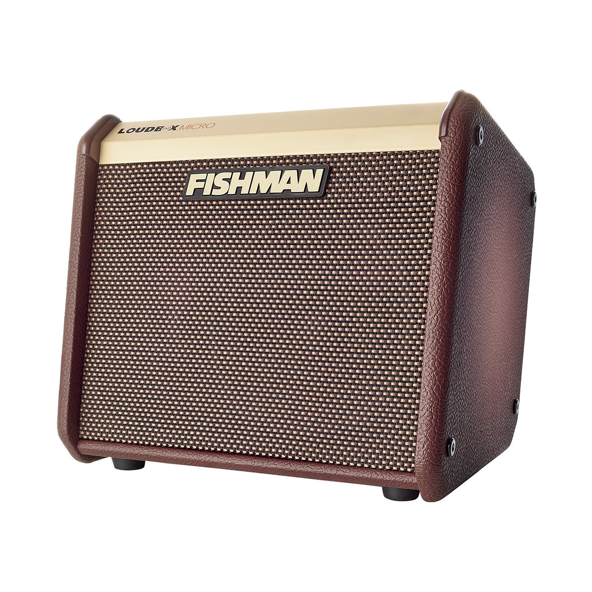 Fishman Loudbox Mini Bluetooth 2 Channel 60 Watt 1x6.5" Acoustic Guitar Amplifier Combo