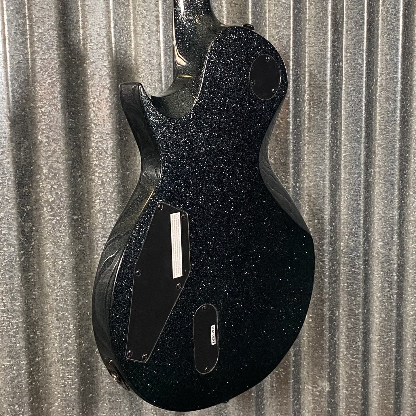 ESP LTD EC-1000 Granite Sparkle Guitar & Case EC1000GNSP #1021 Used