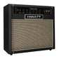 Hiwatt T40/20 40/20 Watt 2 Channel 1x12" Reverb Guitar Amplifier Combo
