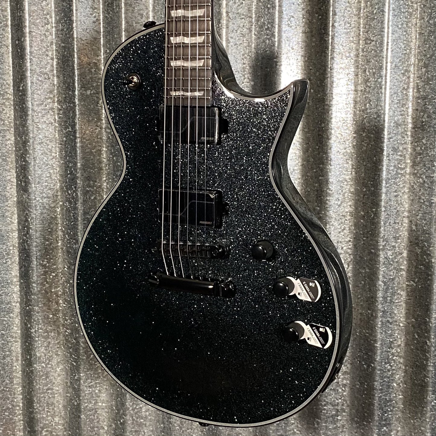 ESP LTD EC-1000 Granite Sparkle Guitar & Case EC1000GNSP #1017 Used