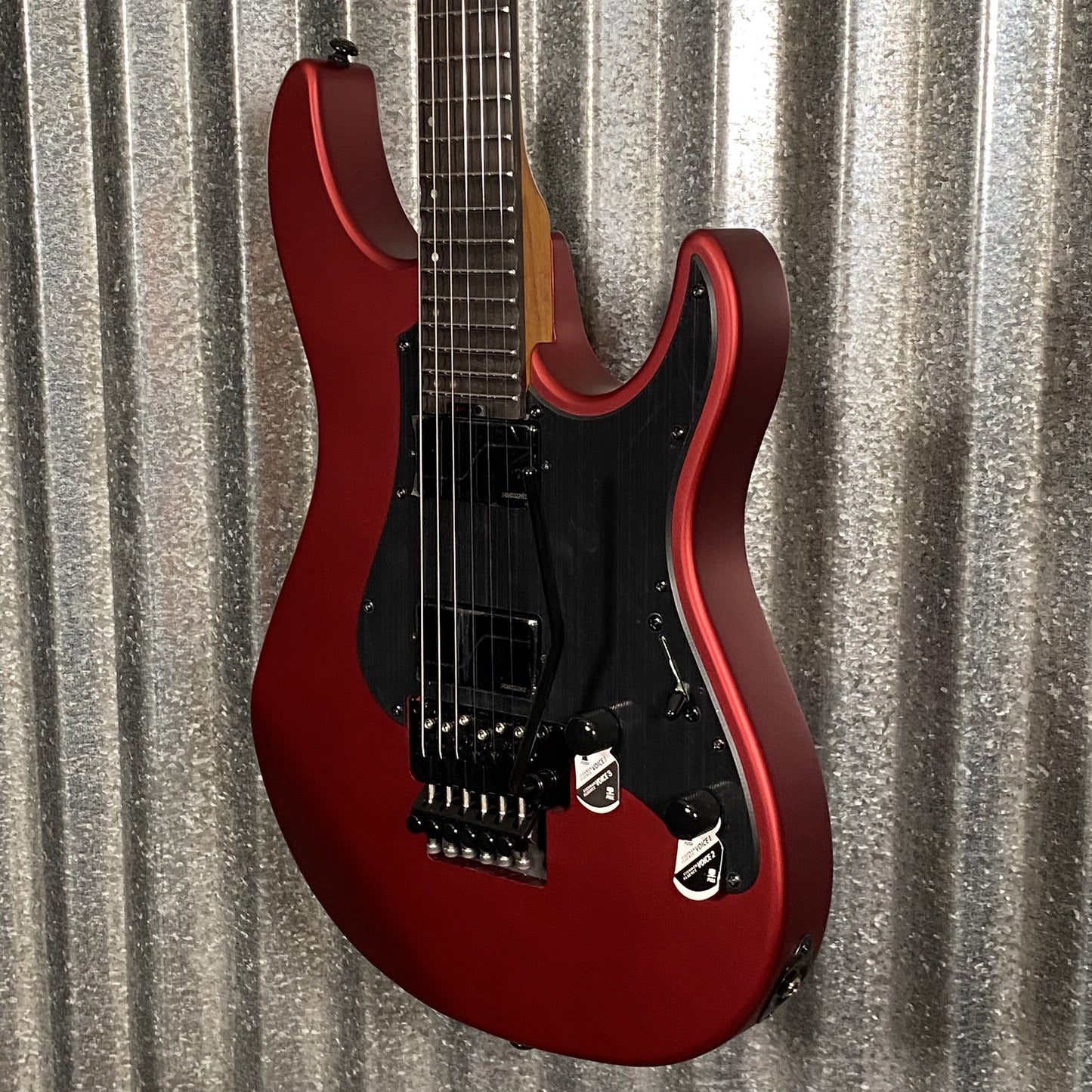 ESP LTD SN-1000 Floyd Candy Apple Red Guitar #1042 Used