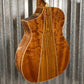 Michael Kelly MKTPE Triad Port Acoustic Electric Guitar & Case #0124 Used