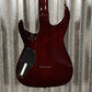 ESP LTD H-200 Flame Top Dark Brown Sunburst Guitar & Case #1026 Used