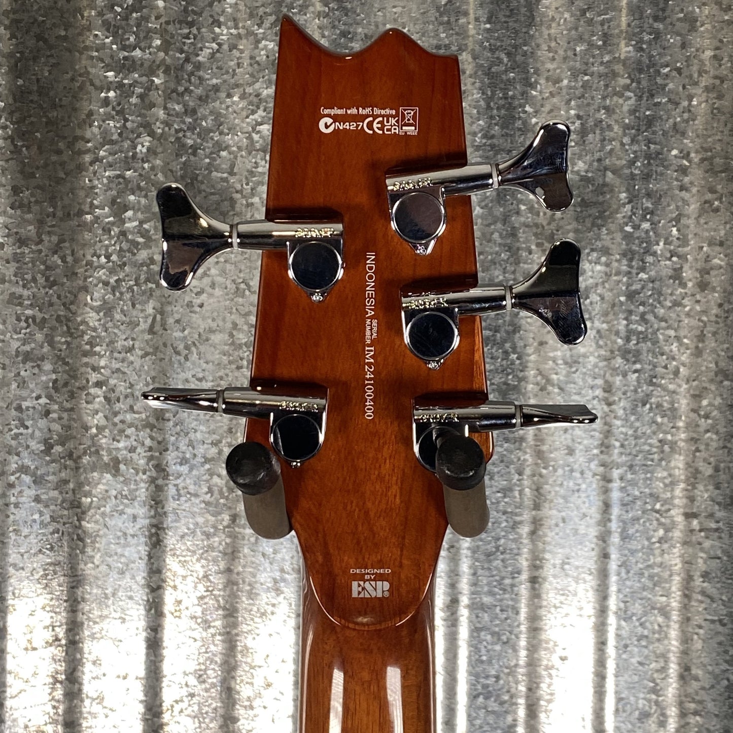 ESP LTD TL-5 5 String Acoustic Electric Thinline Bass Natural TL5NAT #0400 Used