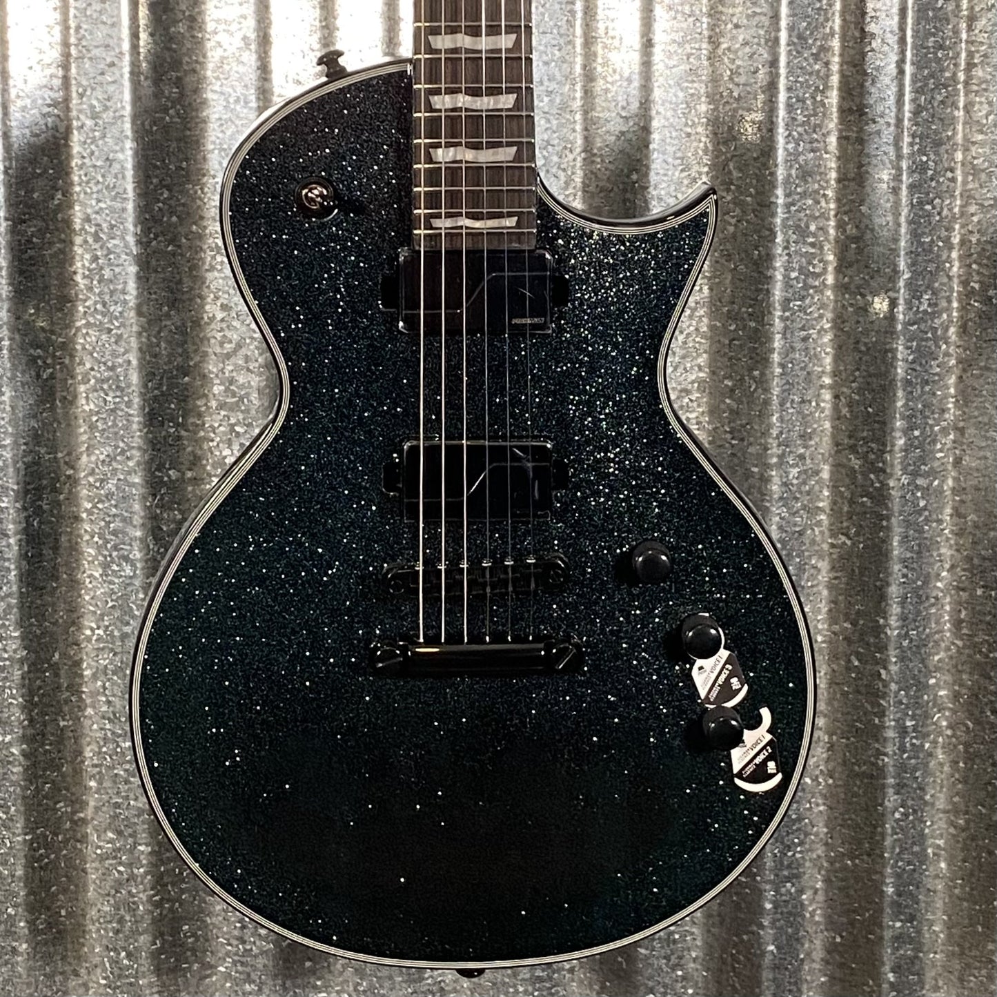 ESP LTD EC-1000 Granite Sparkle Guitar & Case EC1000GNSP #1021 Used