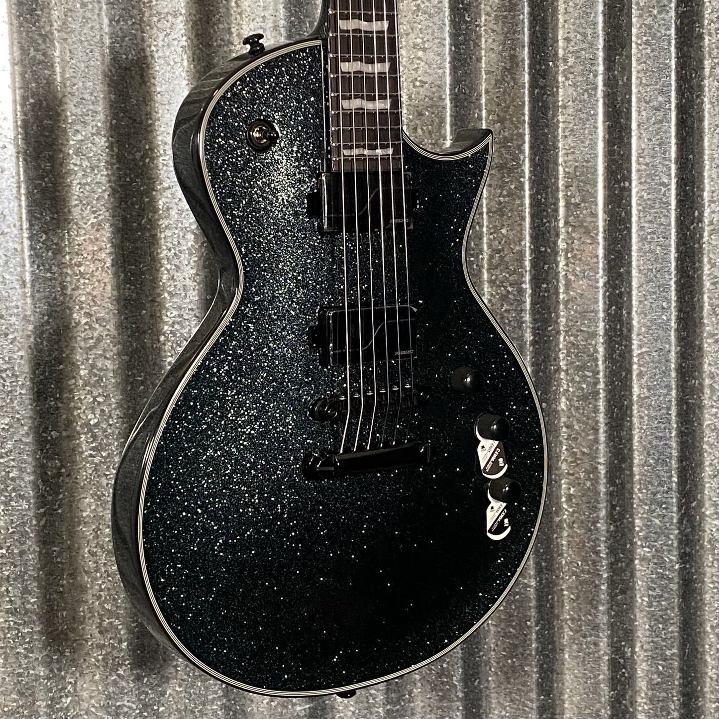 ESP LTD EC-1000 Granite Sparkle Guitar & Case EC1000GNSP #1017 Used