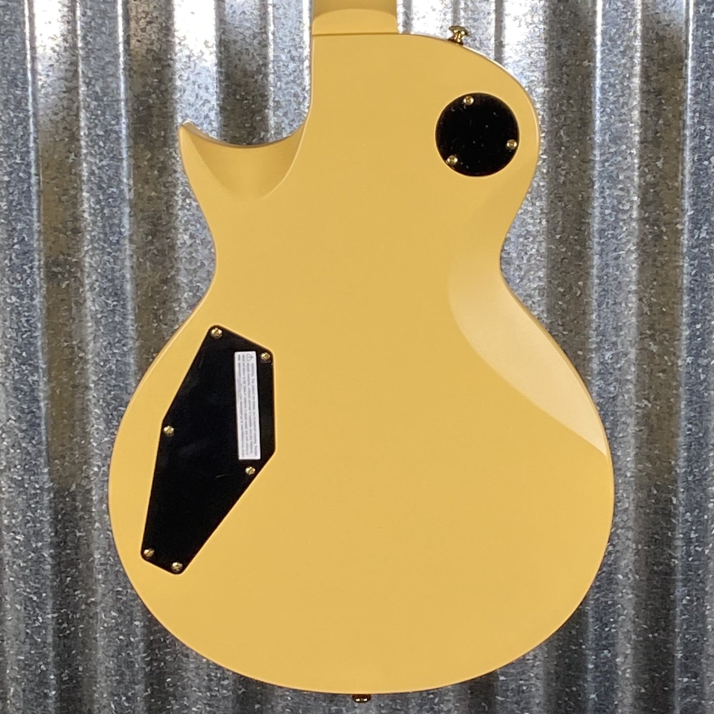 ESP LTD EC-256 Vintage Gold Satin Guitar EC256VGS #0363 Used