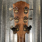 Fender PS-220E Paramount Parlor Acoustic Electric Mahogany Aged Cognac Burst & Case #3169 Used