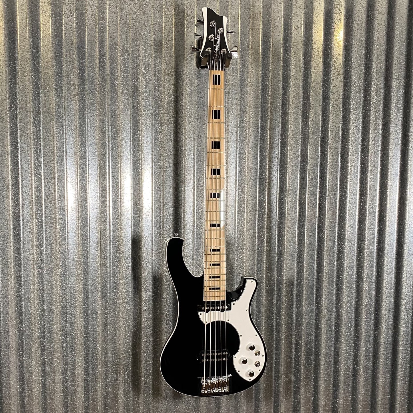 Schecter Stargazer 5 String Bass Black #0584 Demo
