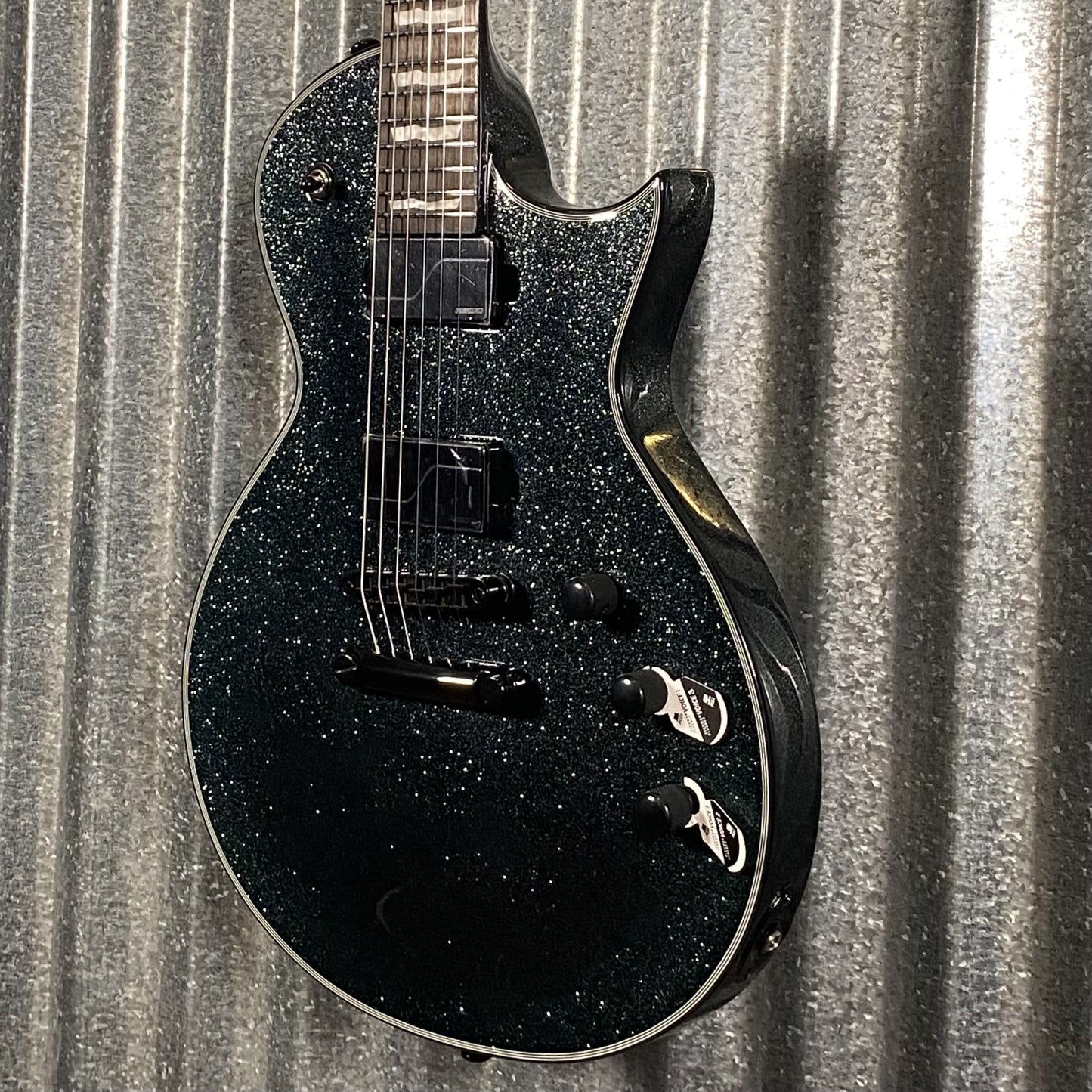 ESP LTD EC-1000 Granite Sparkle Guitar & Case EC1000GNSP #1021 Used