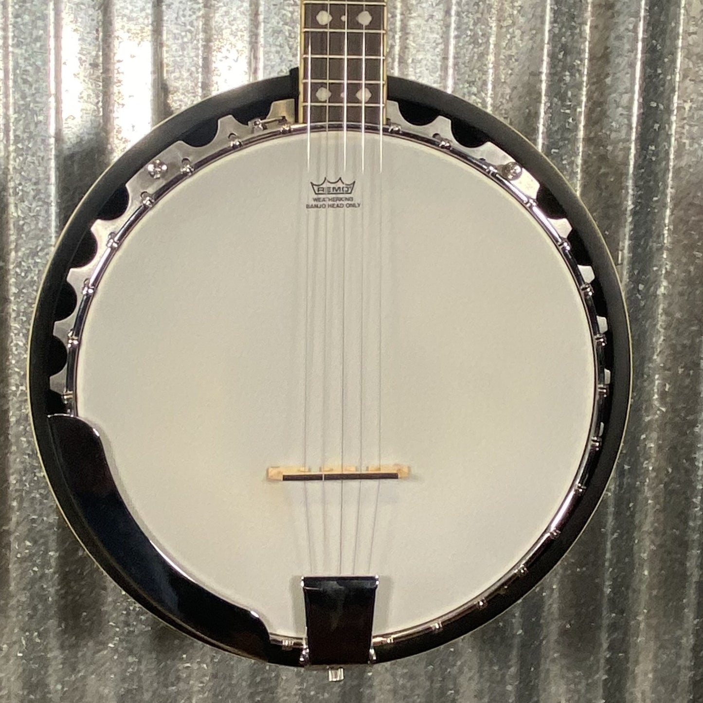 Fender FB-54 5 String Resonator Banjo & Bag #0000 Used