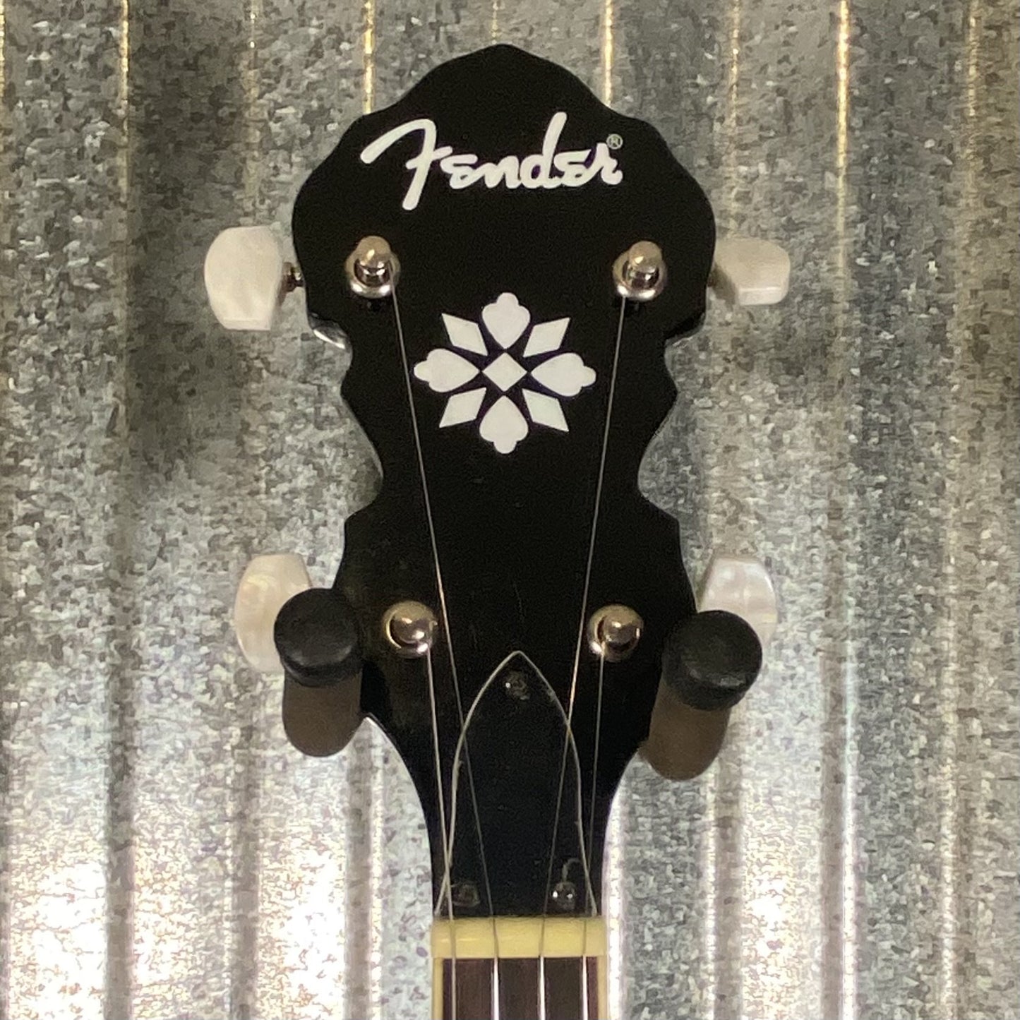 Fender FB-54 5 String Resonator Banjo & Bag #0000 Used