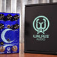 Walrus Audio SLO Multi Texture Reverb Guitar Effect Pedal