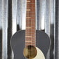 Ortega RGA-PLT Gaucho Nylon String Parlor Guitar Platinum Gray Guitar & Bag #0058