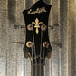 Hagstrom VIKB-WCT Viking 4 String Semi Hollow Short Scale Bass Wild Cherry Transparent #0723