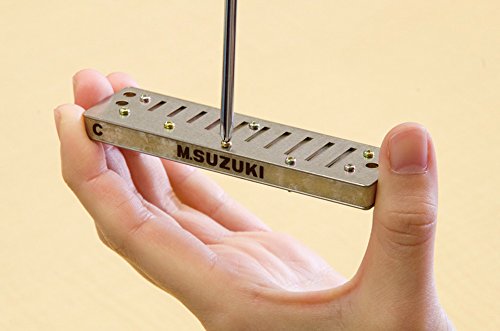 Suzuki Manji M-20 Professional Diatonic 10 Hole Harmonica Key Of C *