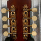 Washburn Timeless Limited Edition C43 A Style Mandolin & Case TCMC43SWK #0060