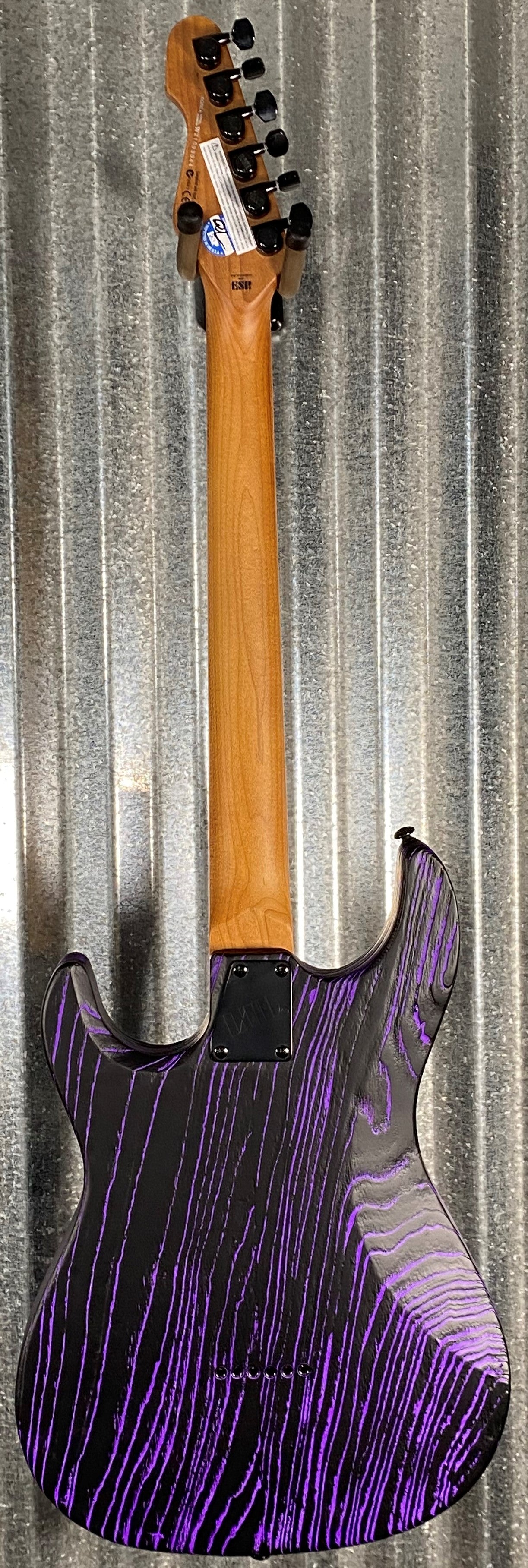ESP LTD SN-1000HT Purple Blast Guitar #3044