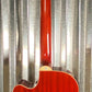 Washburn AB-5K Acoustic Electric Bass Natural & Bag AB5K-A-U #3858