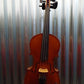 Barcus Berry BB100-EL Legendary Series Violin Natural with Bow & Case #6001*