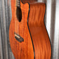 Luna Gypsy Exotic Spalt Natural Gloss Acoustic Guitar #1870 Used