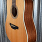 Takamine GD20 Natural Satin Acoustic Guitar GD20NS #2705 Used