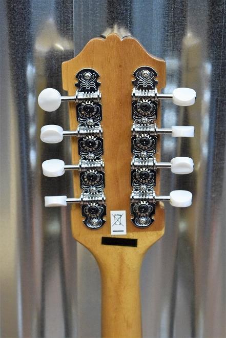 Washburn Guitars BM3 Mandolin Banjo #5