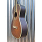 Washburn R320SWRK Solid Top Vintage Parlor Acoustic Guitar & Case #1100