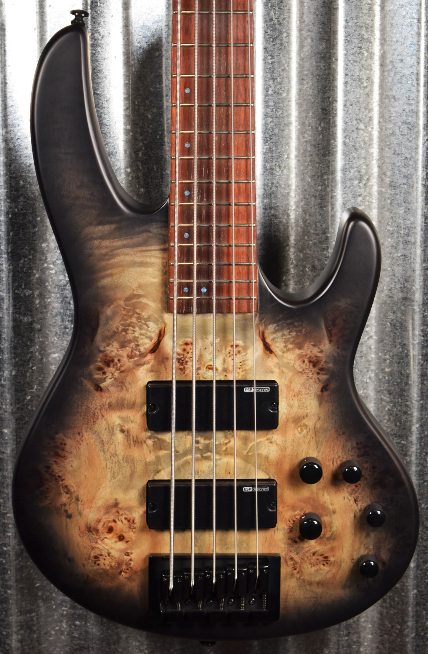 ESP LTD D-5 Burl Black Natural Burst Satin 5 String Bass D5BPBLKNBS #0790 Demo