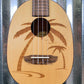 Ortega Guitars RUPA5 Natural Spruce Top Pinaple Concert Ukulele