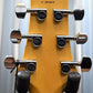 PRS Paul Reed Smith CE 24 Custom LTD Trampas Green Tobacco Burst Guitar & Bag