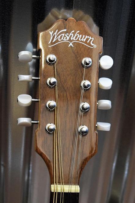 Washburn Guitars BM3 Mandolin Banjo #5