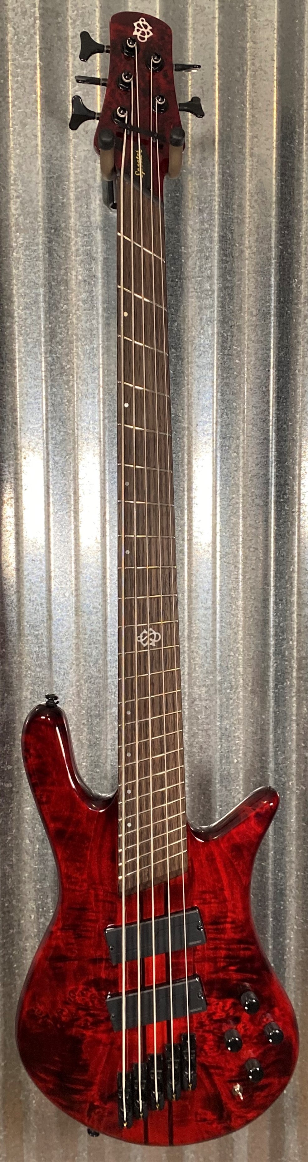 dimension　5弦 ベース NS Dimension 5 - Spector Bass