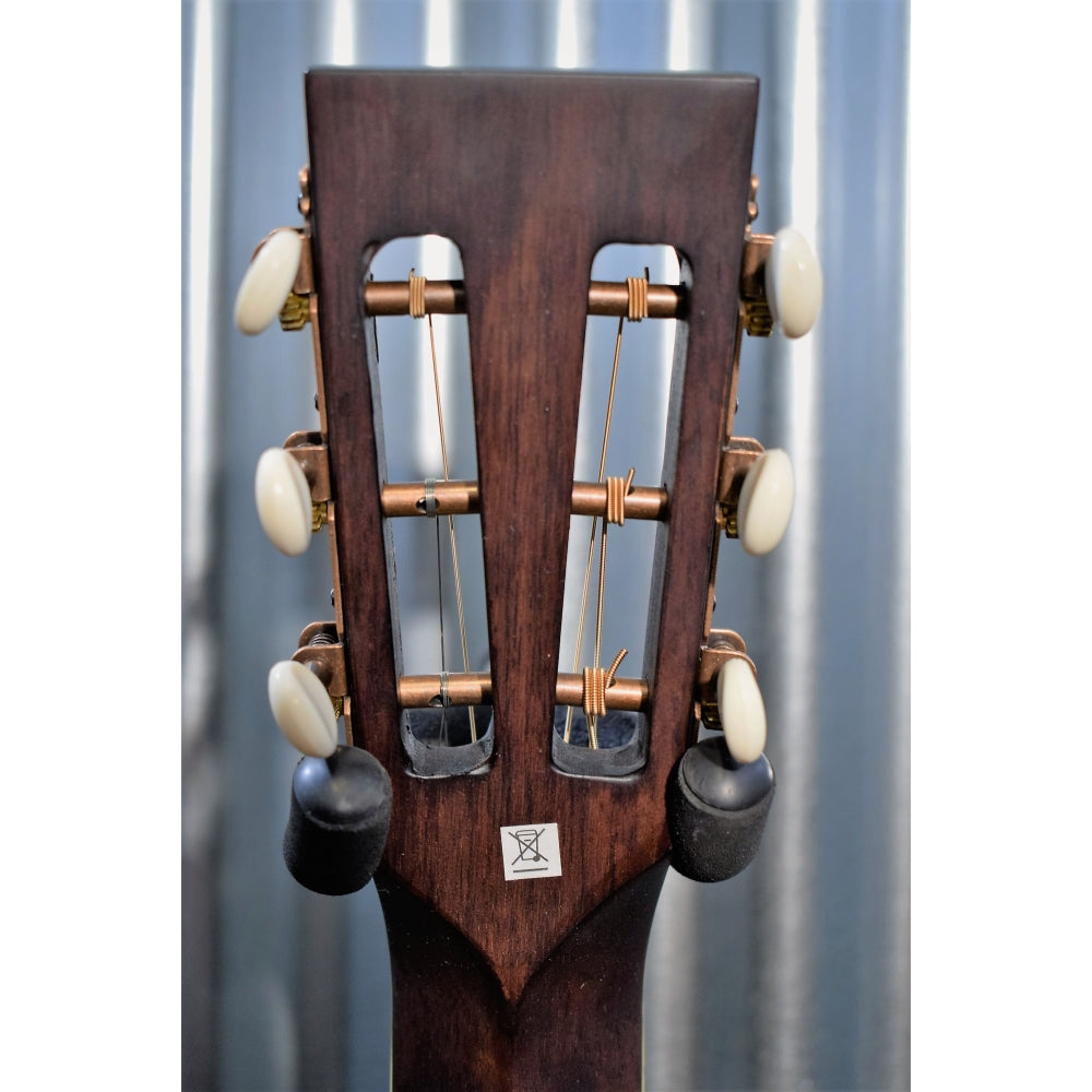Washburn R314KK Vintage Parlor Acoustic Guitar & Case #1780