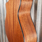 Breedlove Organic Wildwood Concerto Satin CE Acoustic Electric Guitar & Bag #3818